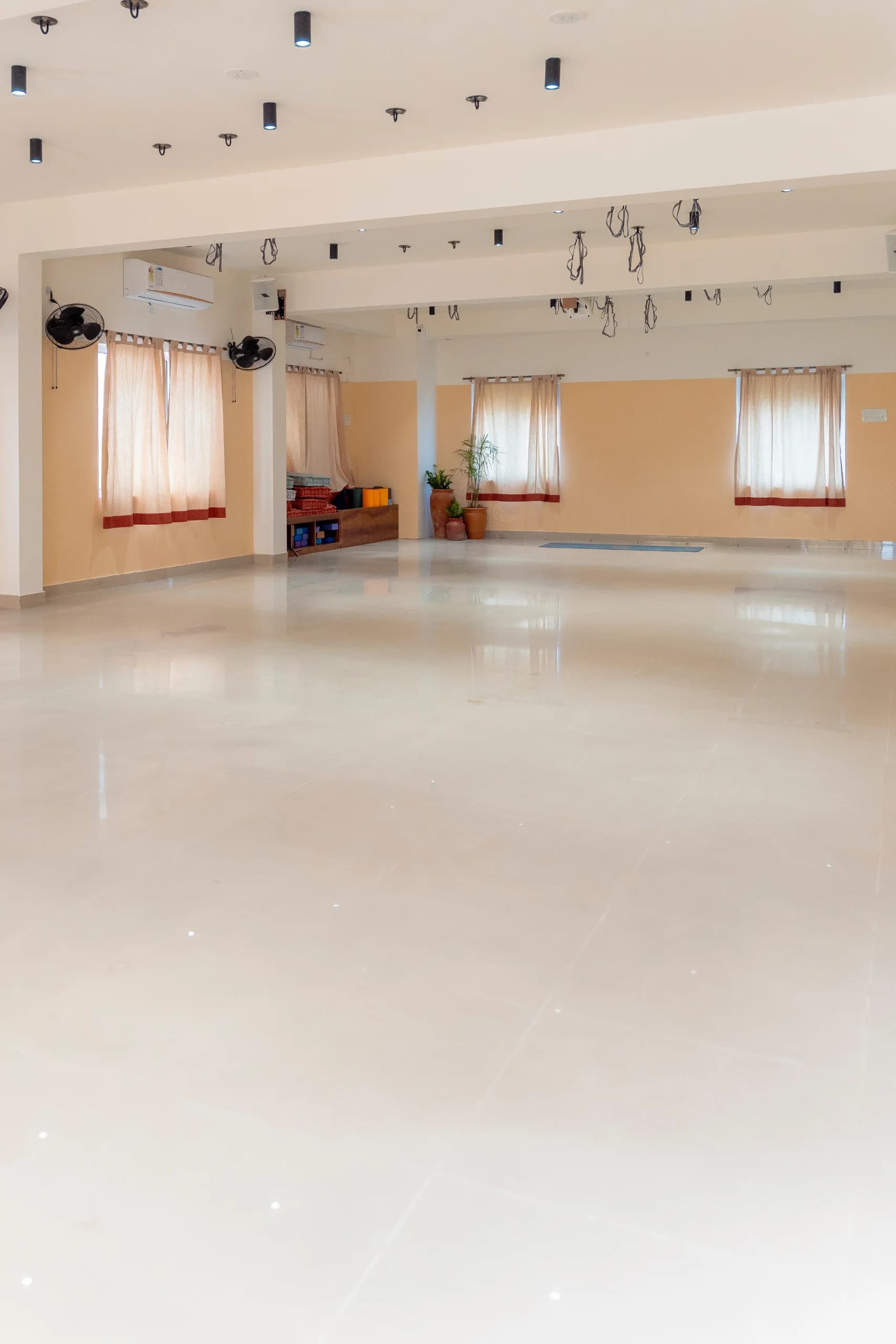 Yoga & Wellness Studio photo 7